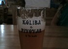 Prostějov, U tří králů, American Pale Ale HAPA 11°